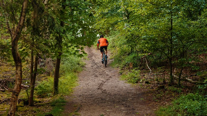 Mountainbikerytter kører op ad bakke mellem træerne i skoven