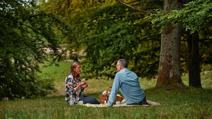 picnic, mand, kone, familie, senior, seniorliv, udendørs, pension, opsparing, risiko, sikkerhed