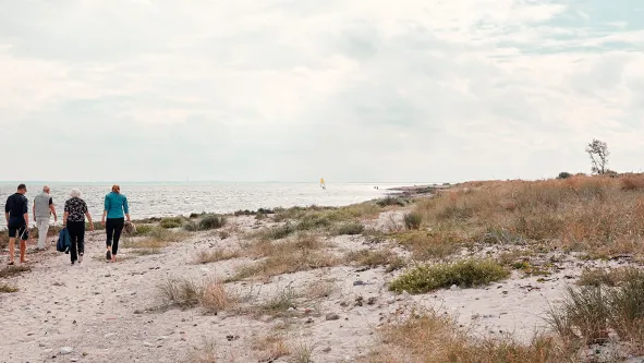 En pensionist gruppe på strandtur