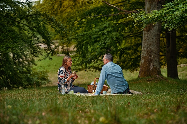 picnic, mand, kone, familie, senior, seniorliv, udendørs, pension, opsparing, risiko, sikkerhed
